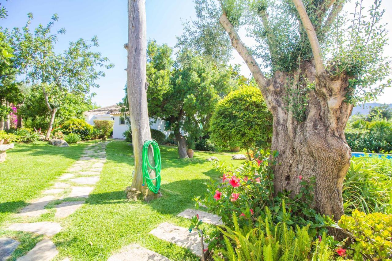 Preciosa Villa Tipica Mallorquina Con Wifi Y A/C بويينسا المظهر الخارجي الصورة